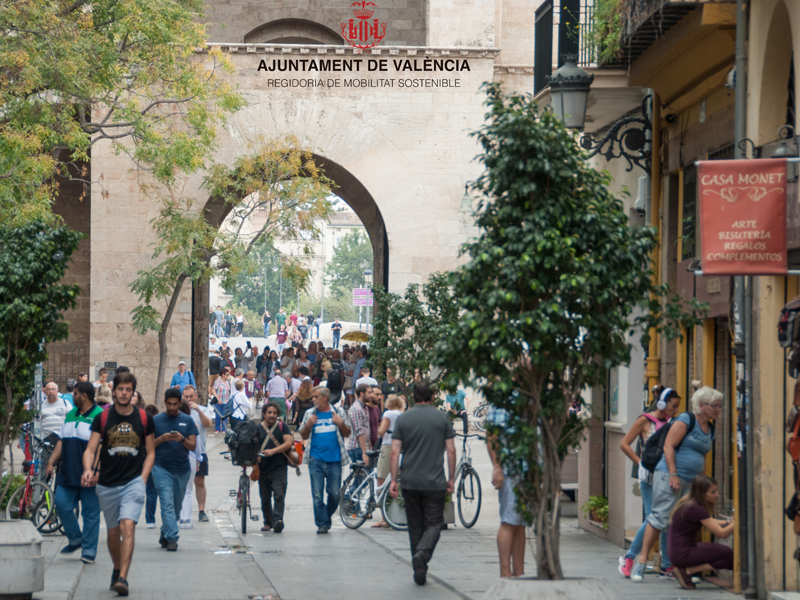 PEATONALIZACIÓN DEL ENTORNO DE LA LONJA/ PLAZA DEL MERCADO Y SERRANOS